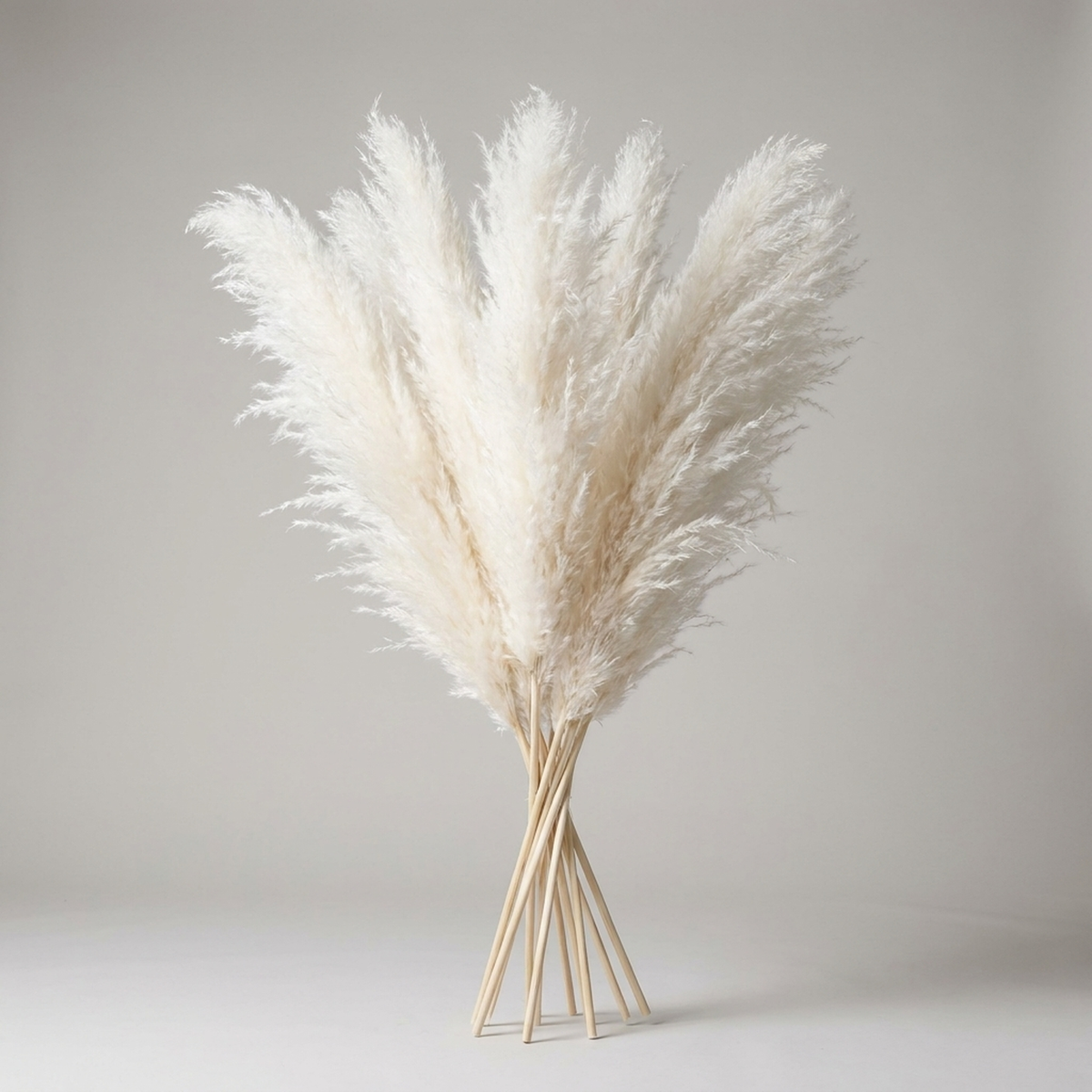 Kunsttakken Pampasgras 65cm Naturel Wit Beige Roze Droogbloemen Vaas Decoratie Boho Stijl Woonkamer Interieur | Sulvida