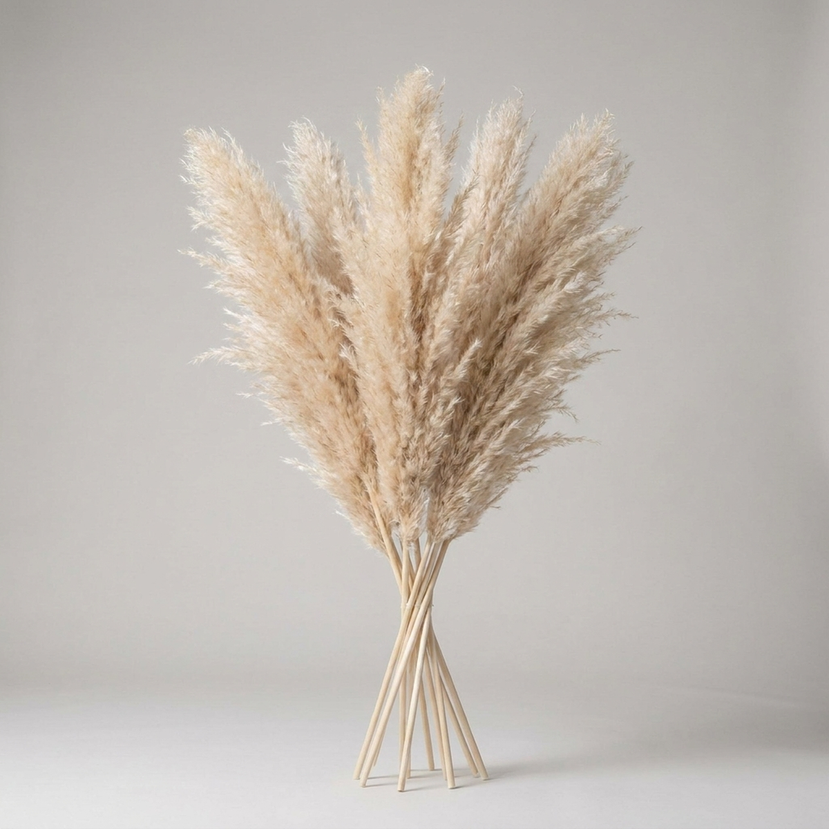 Kunsttakken Pampasgras 65cm Naturel Wit Beige Roze Droogbloemen Vaas Decoratie Boho Stijl Woonkamer Interieur | Sulvida