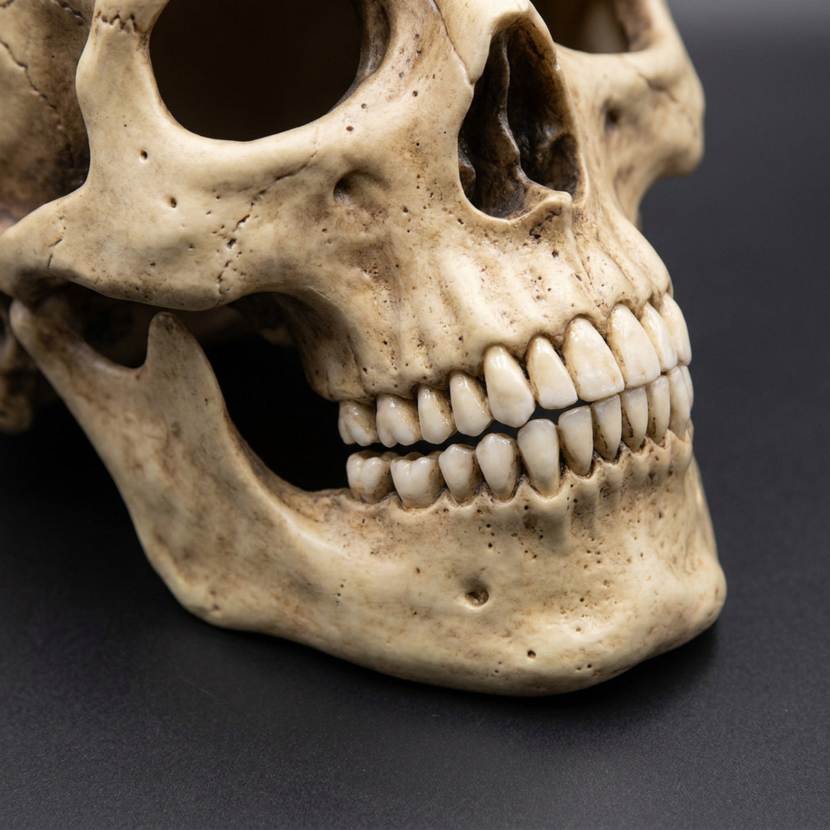 Bewegende Kaak Schedel Masker Volhoofd Latex Halloween Verkleedmasker Anatomisch Realistisch Horror Feest | Sulvida