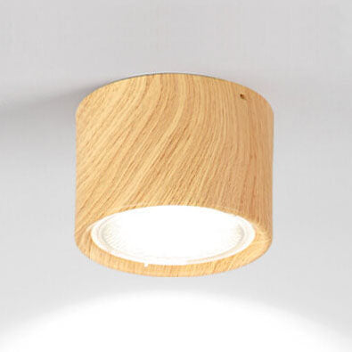 Plafondspot Cilindrisch LED Verlichting Modern Metaal Acryl voor Woonkamer Slaapkamer Stijlvol Minimalistisch | Sulvida