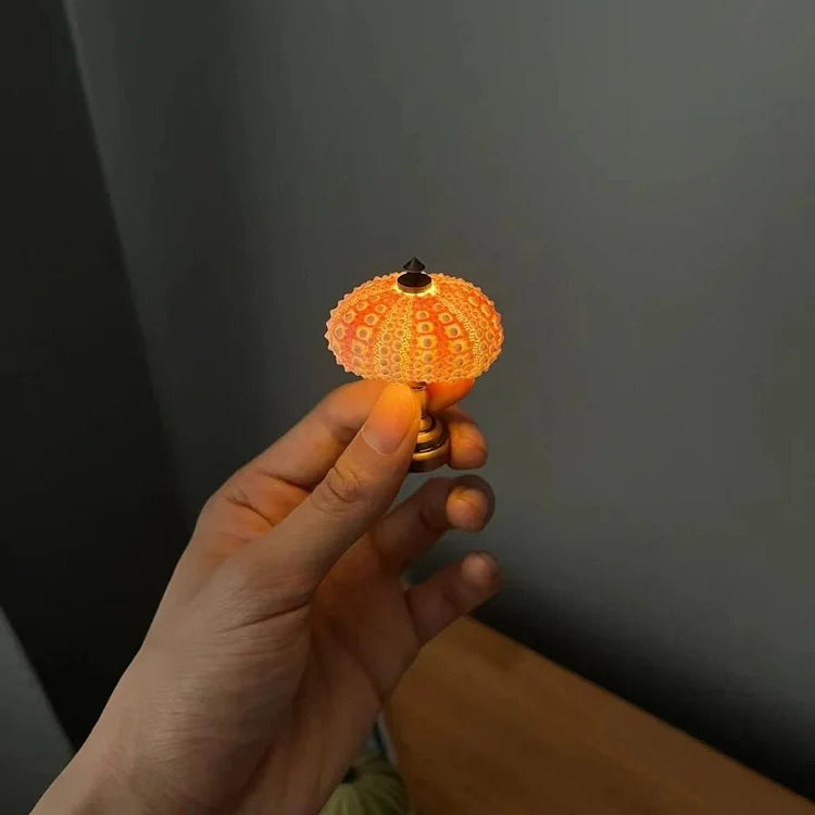 Zee-egel Nachtlamp met Natuurlijke Schelp Sfeerverlichting Warm Wit 36V Bureau Tafellamp Slaapkamer Decoratie | Sulvida