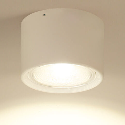Plafondspot Cilindrisch LED Verlichting Modern Metaal Acryl voor Woonkamer Slaapkamer Stijlvol Minimalistisch | Sulvida