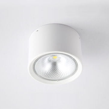 Plafondspot Cilindrisch LED Verlichting Modern Metaal Acryl voor Woonkamer Slaapkamer Stijlvol Minimalistisch | Sulvida