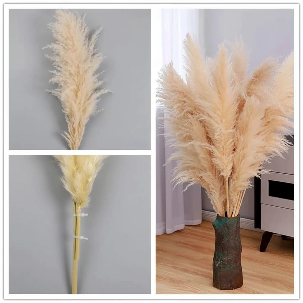 Kunsttakken Pampasgras 65cm Naturel Wit Beige Roze Droogbloemen Vaas Decoratie Boho Stijl Woonkamer Interieur | Sulvida