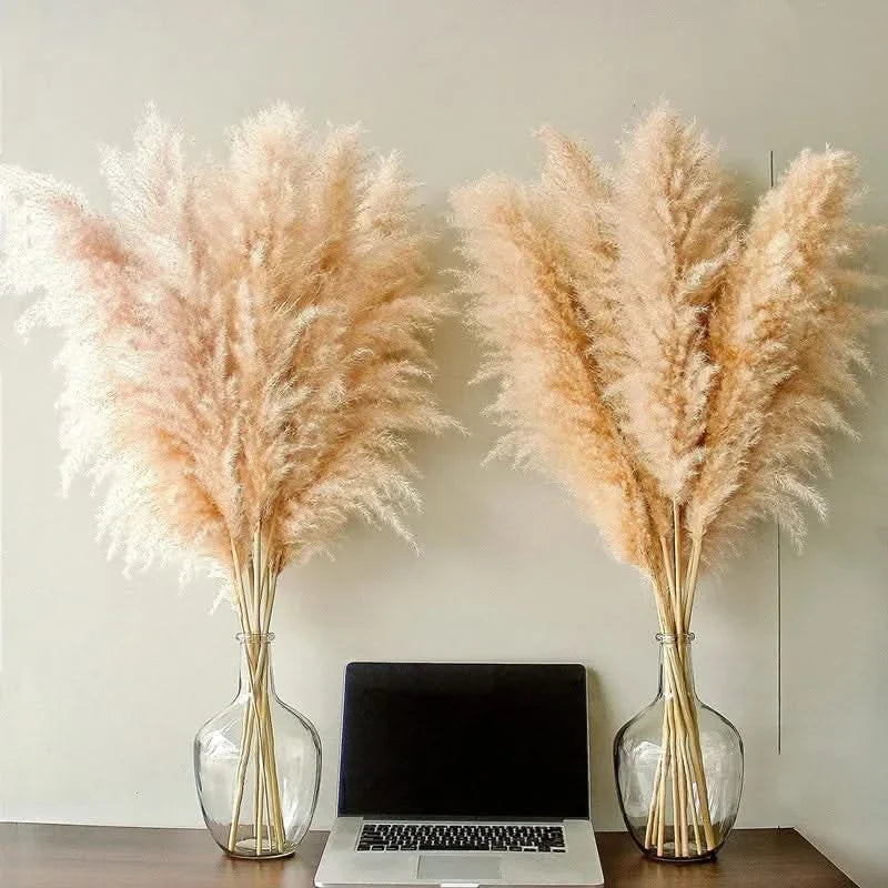 Kunsttakken Pampasgras 65cm Naturel Wit Beige Roze Droogbloemen Vaas Decoratie Boho Stijl Woonkamer Interieur | Sulvida