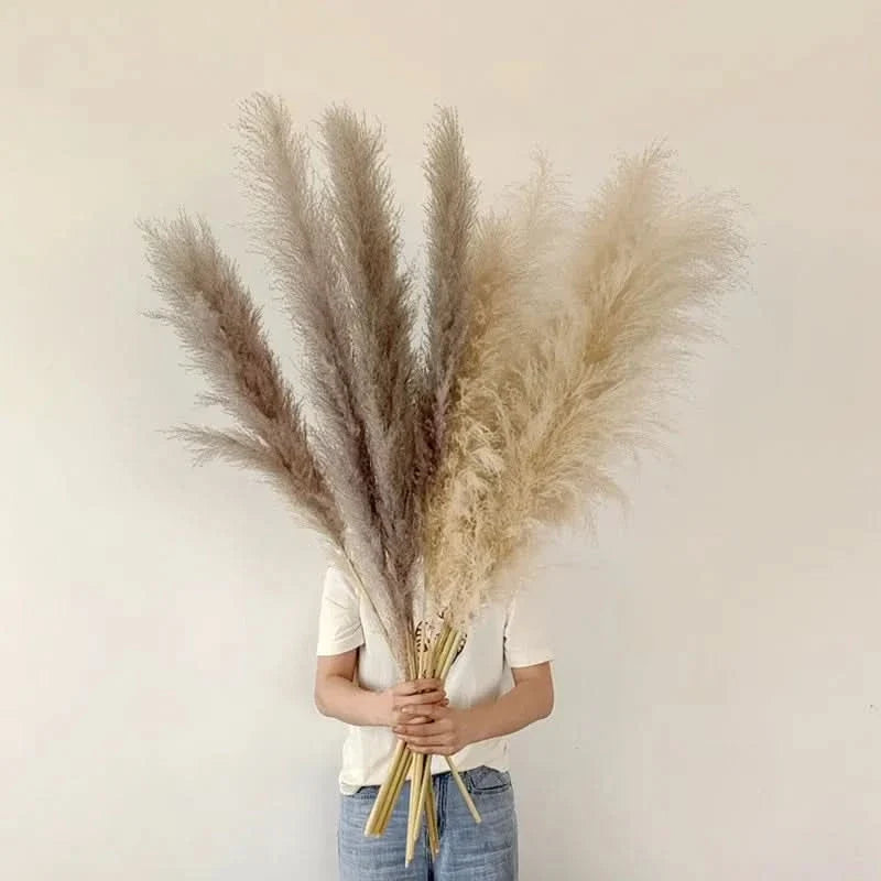 Kunsttakken Pampasgras 65cm Naturel Wit Beige Roze Droogbloemen Vaas Decoratie Boho Stijl Woonkamer Interieur | Sulvida