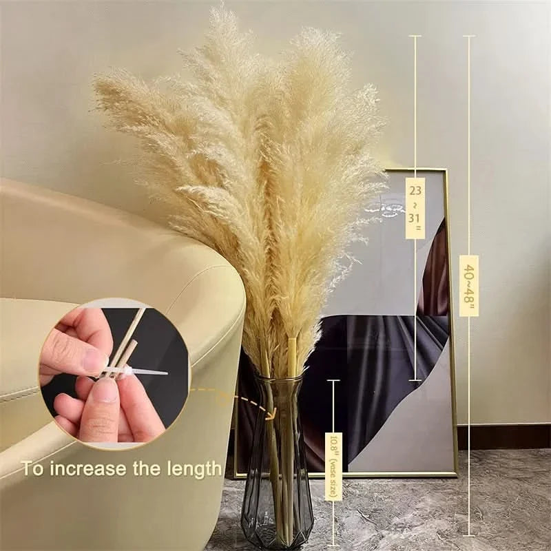 Kunsttakken Pampasgras 65cm Naturel Wit Beige Roze Droogbloemen Vaas Decoratie Boho Stijl Woonkamer Interieur | Sulvida