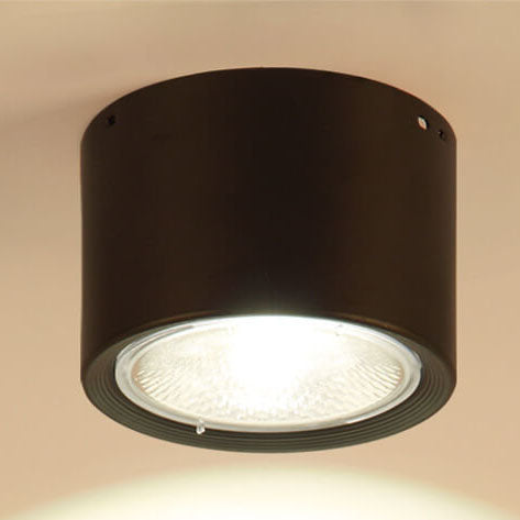 Plafondspot Cilindrisch LED Verlichting Modern Metaal Acryl voor Woonkamer Slaapkamer Stijlvol Minimalistisch | Sulvida
