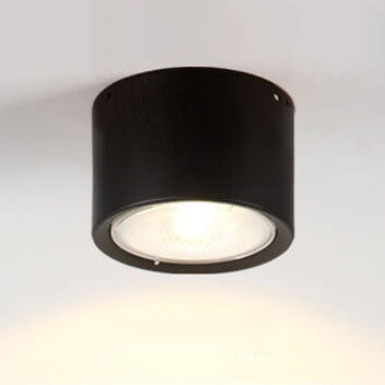 Plafondspot Cilindrisch LED Verlichting Modern Metaal Acryl voor Woonkamer Slaapkamer Stijlvol Minimalistisch | Sulvida