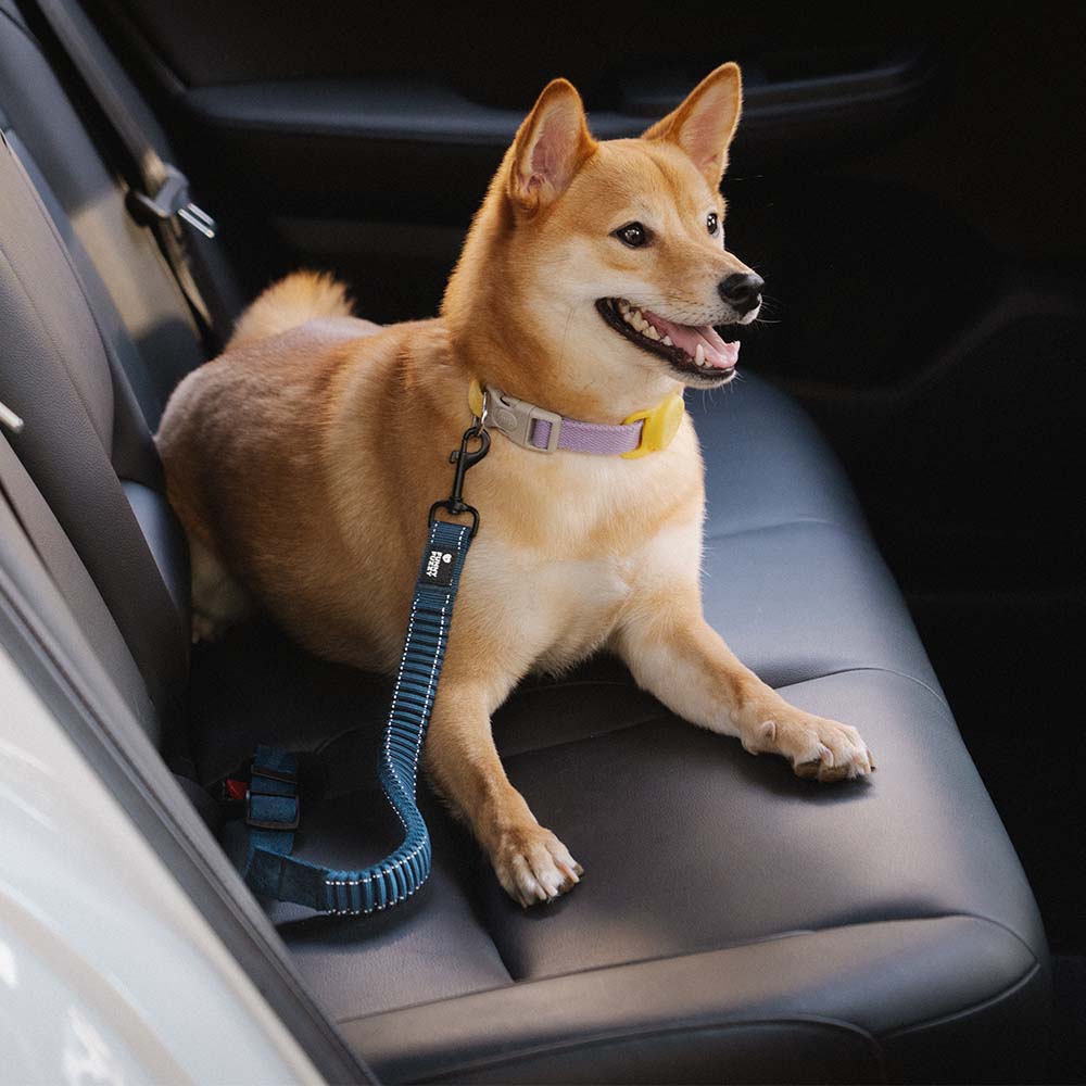 Autogordel voor Honden Verstelbaar Reflecterend Veiligheidsriem Harnas voor Veilig Auto Reizen met Huisdieren | Sulvida