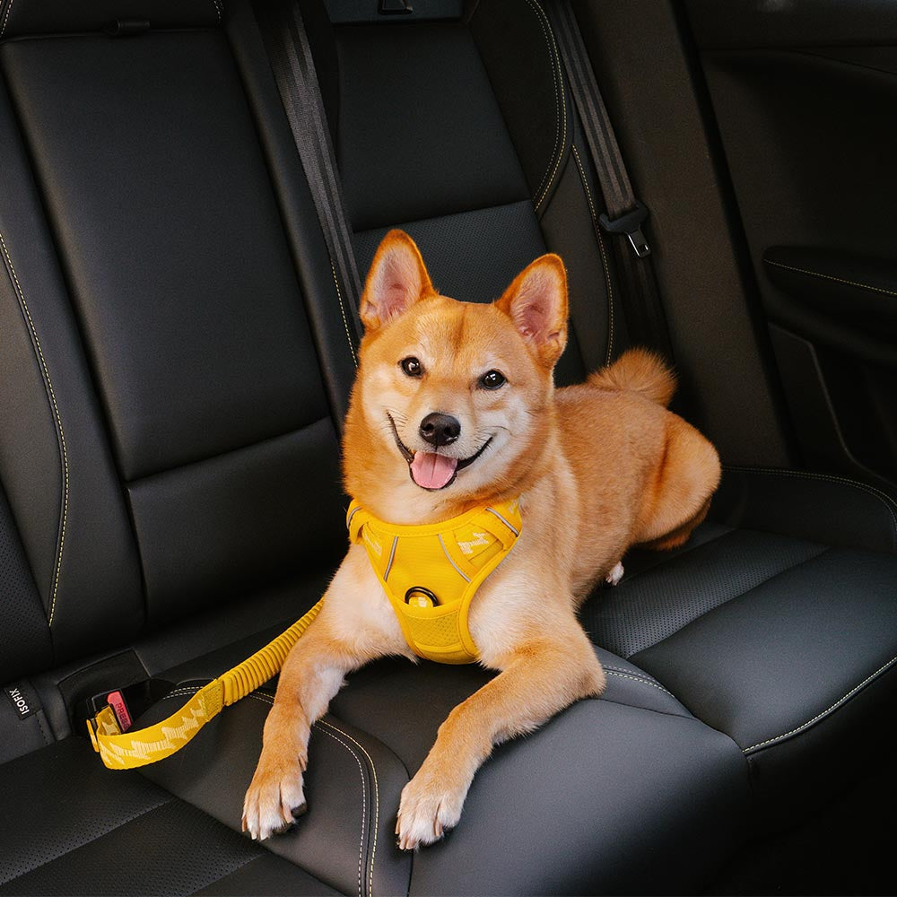 Autogordel voor Honden Verstelbaar Reflecterend Veiligheidsriem Harnas voor Veilig Auto Reizen met Huisdieren | Sulvida