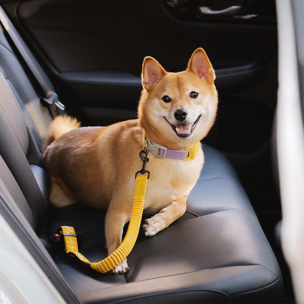 Autogordel voor Honden Verstelbaar Reflecterend Veiligheidsriem Harnas voor Veilig Auto Reizen met Huisdieren | Sulvida