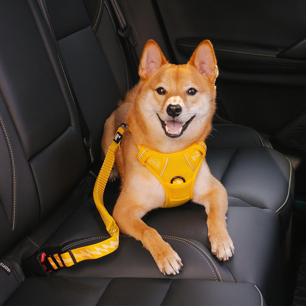 Autogordel voor Honden Verstelbaar Reflecterend Veiligheidsriem Harnas voor Veilig Auto Reizen met Huisdieren | Sulvida