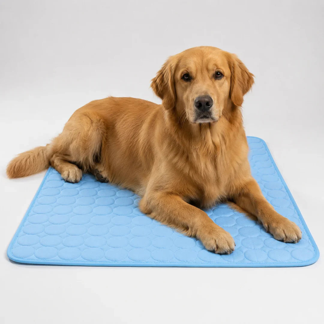 Koelmat voor Huisdieren Wasbaar Verkoelend Hondenmat Kattenmat Zomer Koeling Hond Kat XS S M L XL XXL | Sulvida