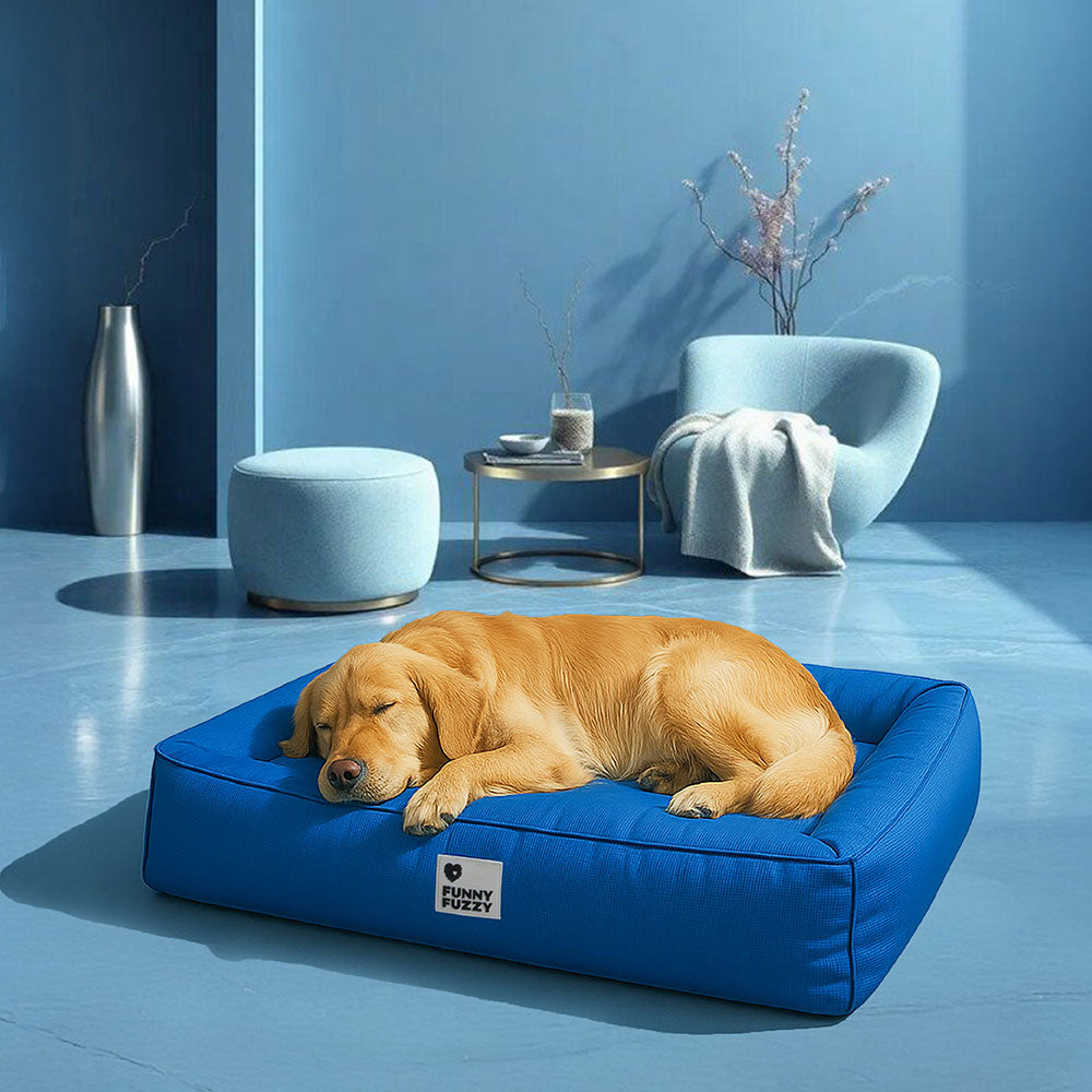 Orthopedisch Hondenkussen Waterafstotend met Verhoogde Rand Groot Rustgevend Ligbed voor Honden en Huisdieren | Sulvida