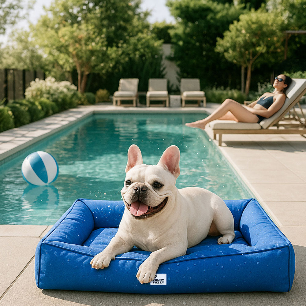 Orthopedisch Hondenkussen Waterafstotend met Verhoogde Rand Groot Rustgevend Ligbed voor Honden en Huisdieren | Sulvida