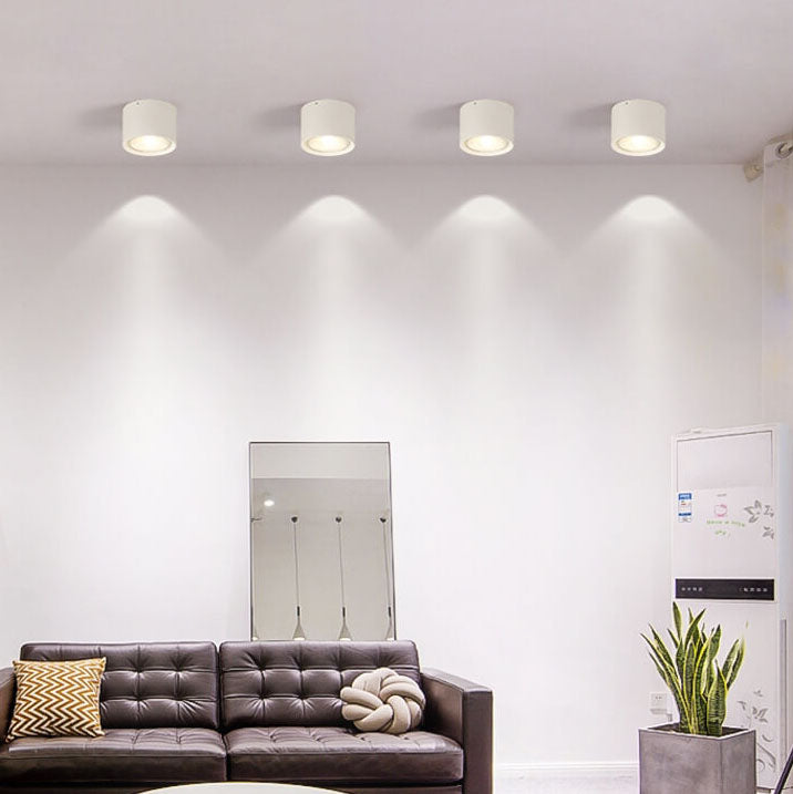 Plafondspot Cilindrisch LED Verlichting Modern Metaal Acryl voor Woonkamer Slaapkamer Stijlvol Minimalistisch | Sulvida