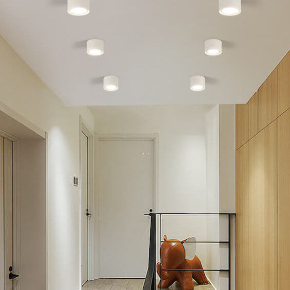 Plafondspot Cilindrisch LED Verlichting Modern Metaal Acryl voor Woonkamer Slaapkamer Stijlvol Minimalistisch | Sulvida
