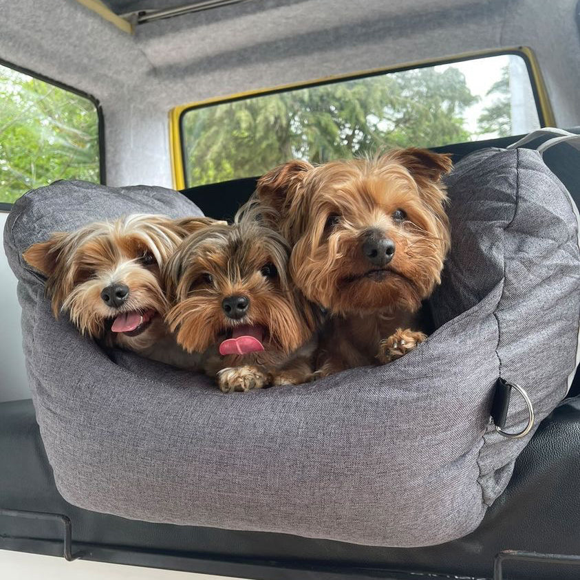 Autostoel voor Honden met Veiligheidsgordel Zacht Reiskussen Wasbare Hoes Comfort Thuis en Onderweg Bescherming | Sulvida