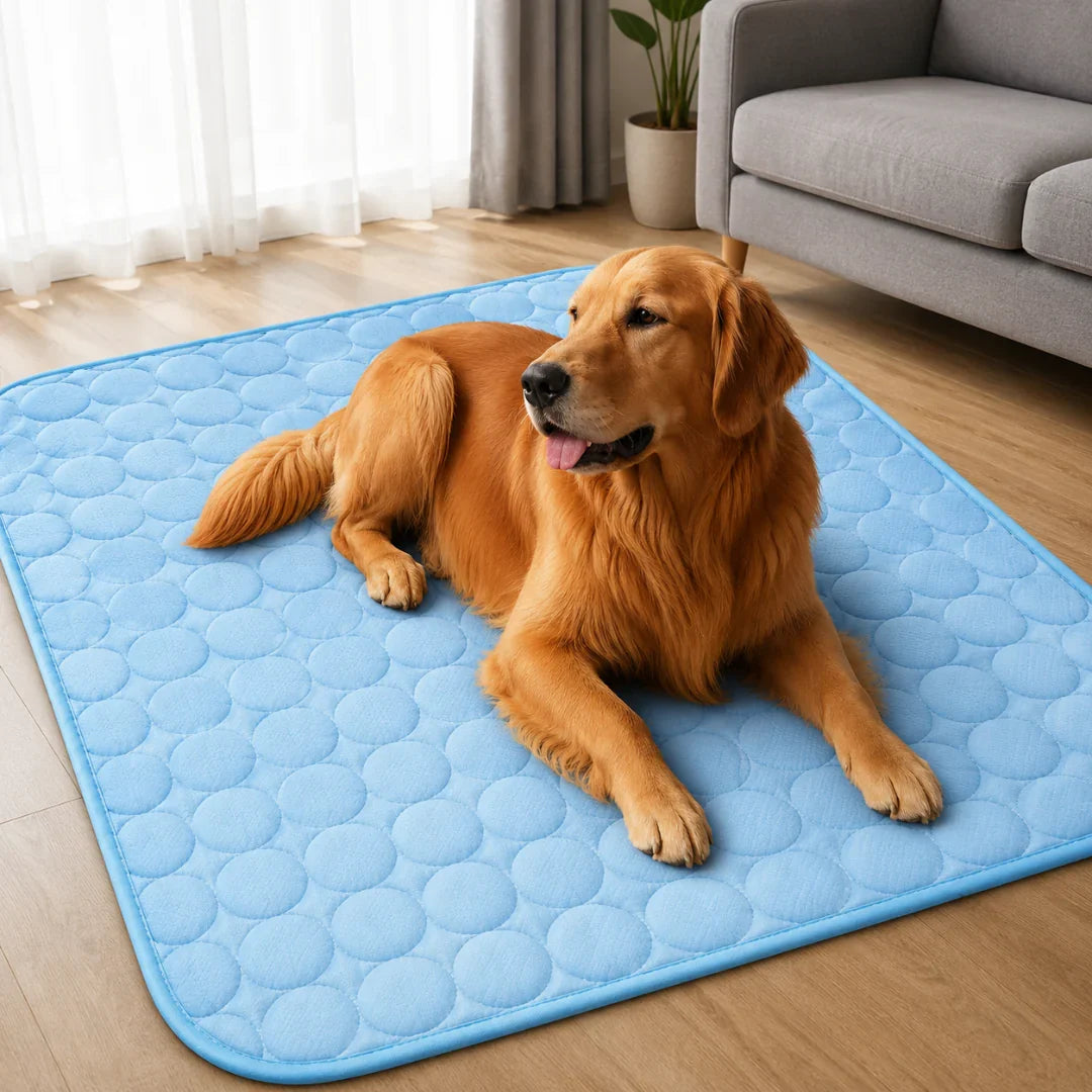 Koelmat voor Huisdieren Wasbaar Verkoelend Hondenmat Kattenmat Zomer Koeling Hond Kat XS S M L XL XXL | Sulvida