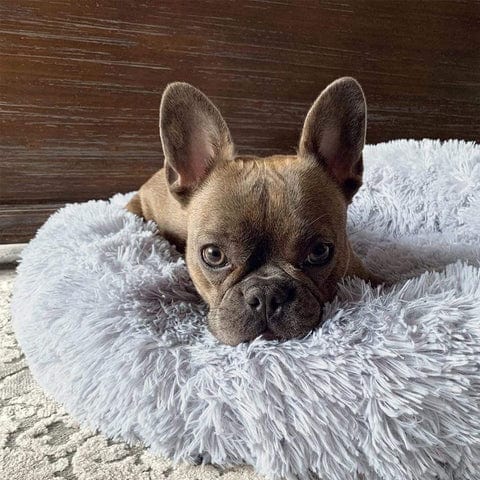 Hondenmand Rond met Verhoogde Rand – Kalmerende Slaapplek voor Hond en Kat | Sulvida
