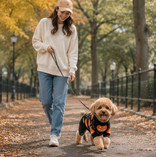 Gebreide Pompoen Huisdierentrui voor Katten en Honden – Warme Feestelijke Winterkleding voor Halloween | Sulvida