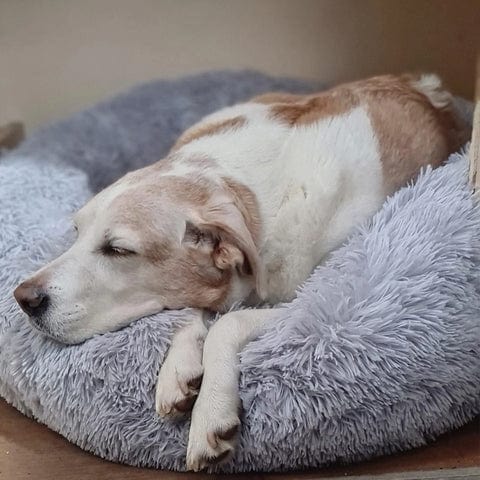 Hondenmand Rond met Verhoogde Rand – Kalmerende Slaapplek voor Hond en Kat | Sulvida