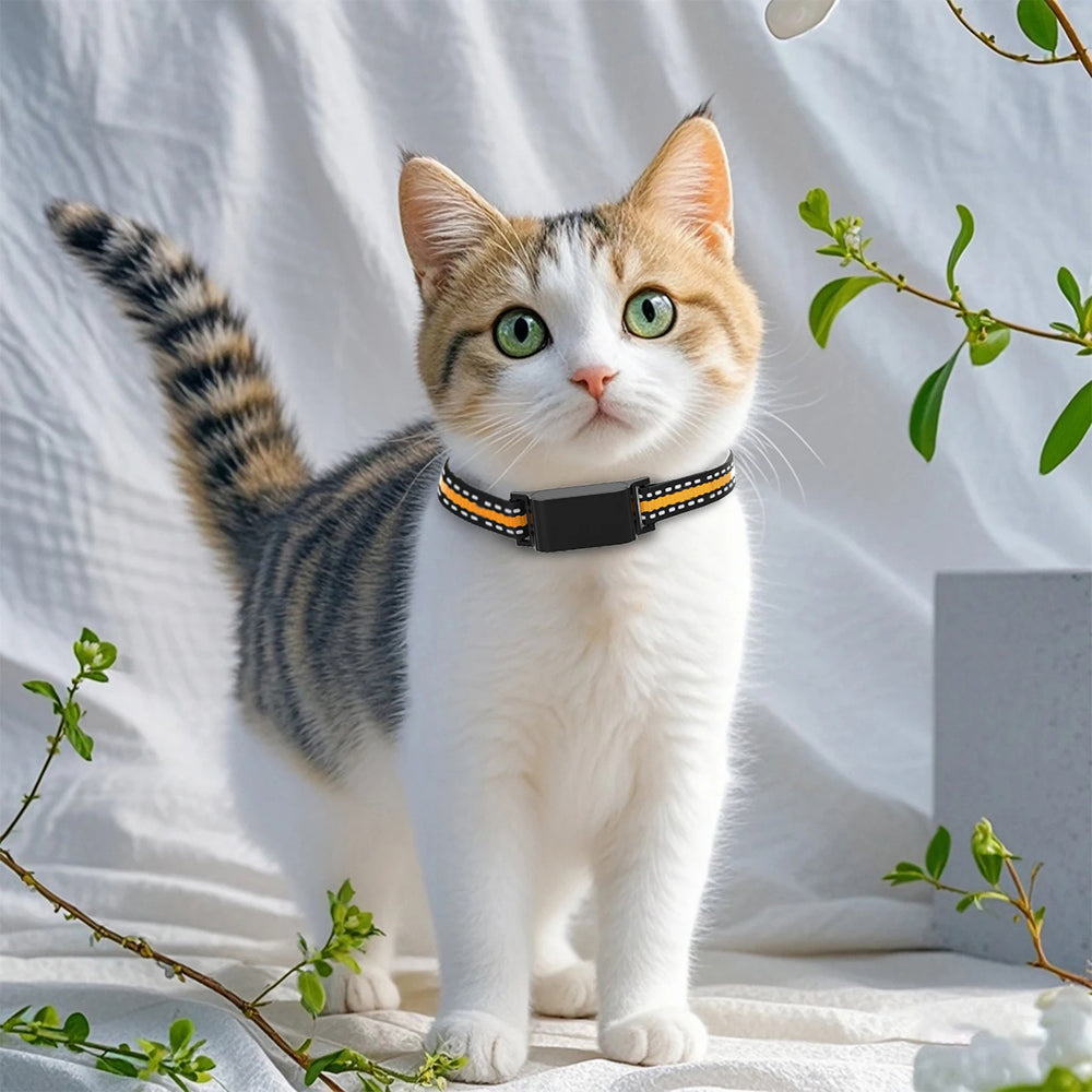 Traceur GPS pour chat avec localisation en temps réel, Wi-Fi et positionnement 4G - application gratuite pour iOS et Android | Sulvida