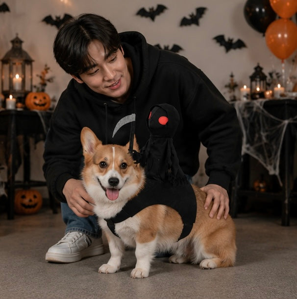 Huisdier Ridder Kostuum Halloween – Grappig Verkleedpak voor Hond en Kat met Capuchon en Middeleeuwse Krijgerslook | Sulvida