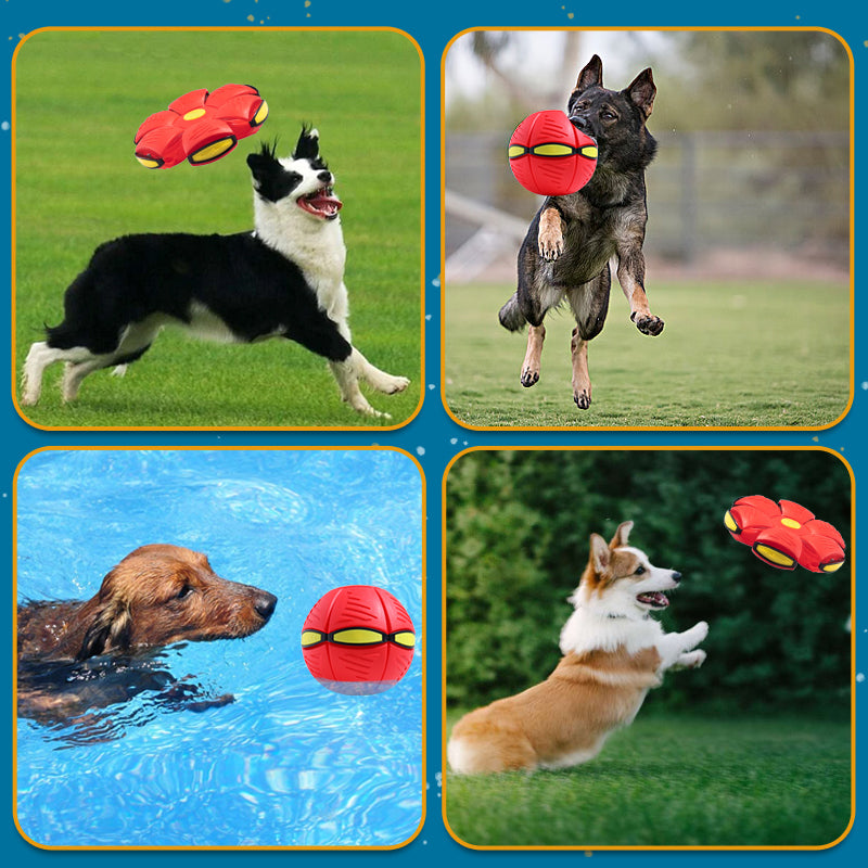 Balle soucoupe volante interactive pour animaux avec éclairage LED, bleue, rouge, rose, verte, jouet pour chien et chat | Sulvida