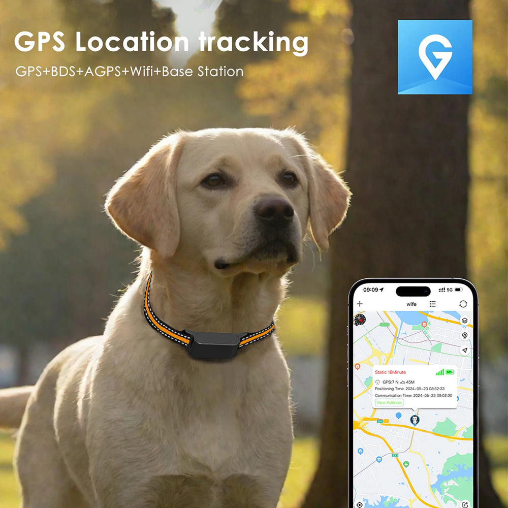 Traceur GPS pour chat avec localisation en temps réel, Wi-Fi et positionnement 4G - application gratuite pour iOS et Android | Sulvida
