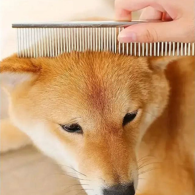 Trimscharenset voor Huisdieren met Afgeronde Punt 5-delig Verzorgingspakket Hond Kat Veilig Trimmen Thuis | Sulvida