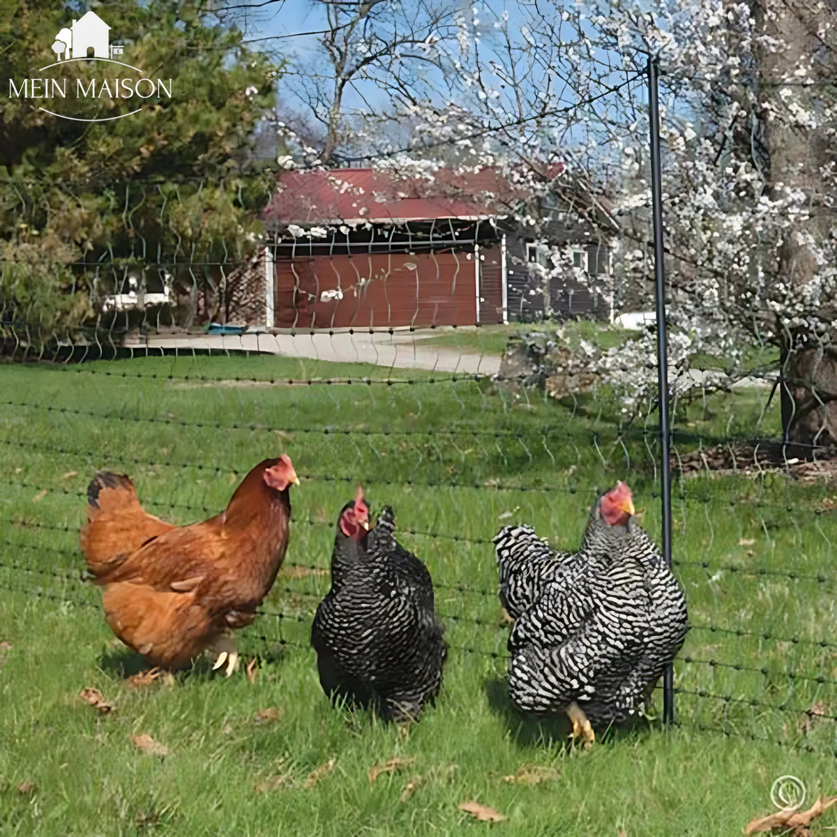 Tuinnet UV-bestendig 2-4M Nylon Scheurbestendig Plantenbescherming tegen Vogels Insecten Hazen voor Tuin | Sulvida