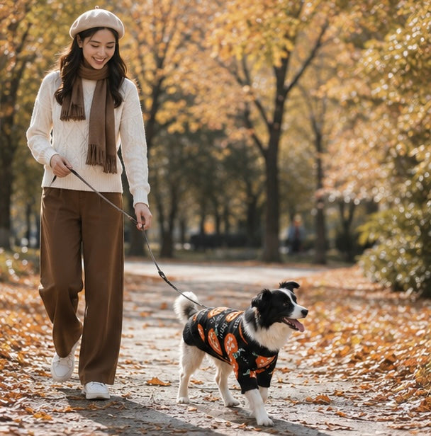 Gebreide Pompoen Huisdierentrui voor Katten en Honden – Warme Feestelijke Winterkleding voor Halloween | Sulvida
