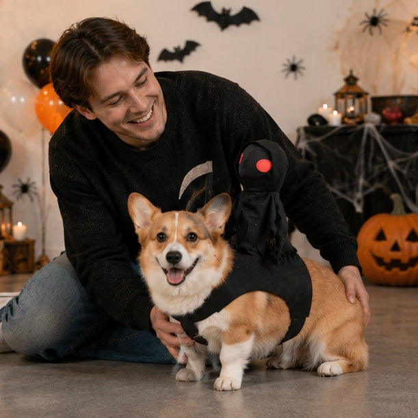 Huisdier Ridder Kostuum Halloween – Grappig Verkleedpak voor Hond en Kat met Capuchon en Middeleeuwse Krijgerslook | Sulvida