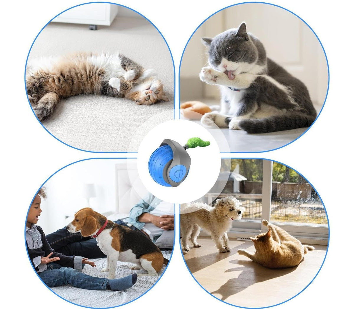 Interactieve Speelbal met Bewegingssensor en Veren voor Katten Automatisch Rollend USB Oplaadbaar Kattenbal | Sulvida