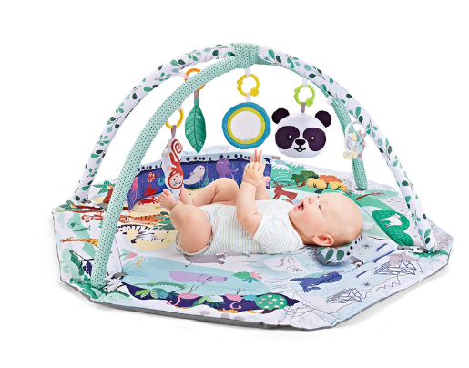 8-in-1 Baby Speelmat met Zintuiglijke Stimulatie – Zachte Ontwikkelingsmat met Verwijderbare Speeltjes voor Baby's vanaf 0 Maanden | Multifunctioneel Speelkleed met Spiegel en Rammelaar | Sulvida