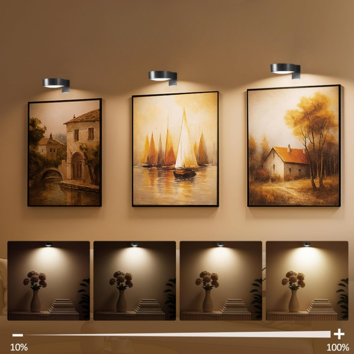 Draadloze LED-Schilderijlamp op Batterij met Afstandsbediening Timer Dimbaar voor Kunst Wanddecoratie | Sulvida
