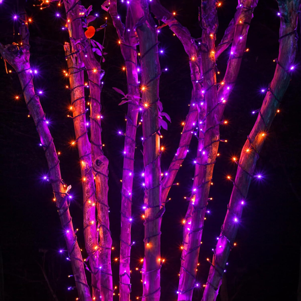 LED Sfeerlichtjes Paars en Oranje voor Tuin Terras Feest Seizoensverlichting Sfeerverlichting Binnen Buiten | Sulvida