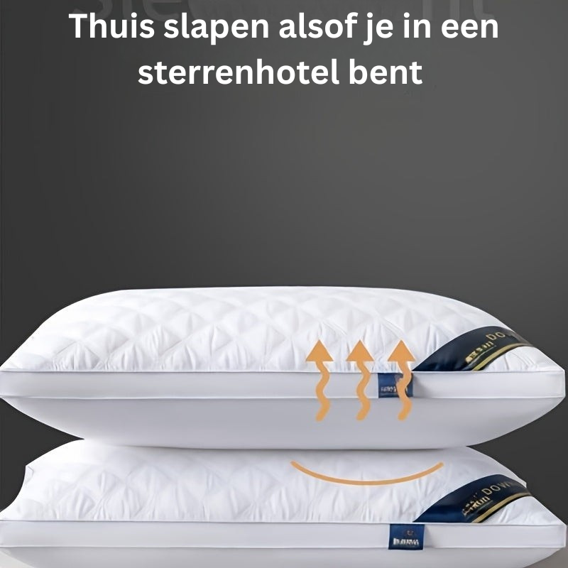 Slaapkussens Hypoallergeen Set van 2 Kussens 60x60 cm Ademend Matras Hoofdkussen Hotelslaap Microvezel | Sulvida