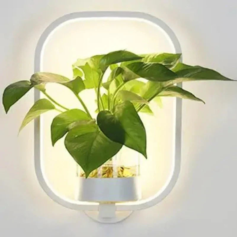 Botanische Wandlamp met Plantenbak Zwart Wit Warm Licht Ijzer Glas Indoor Wandverlichting Kamer Kantoor | Sulvida