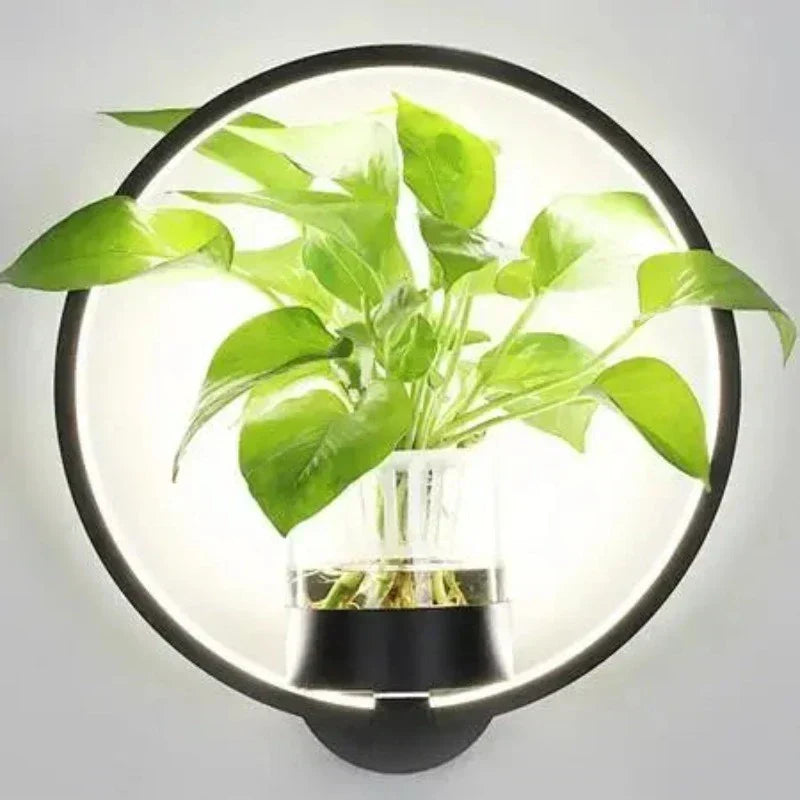 Botanische Wandlamp met Plantenbak Zwart Wit Warm Licht Ijzer Glas Indoor Wandverlichting Kamer Kantoor | Sulvida