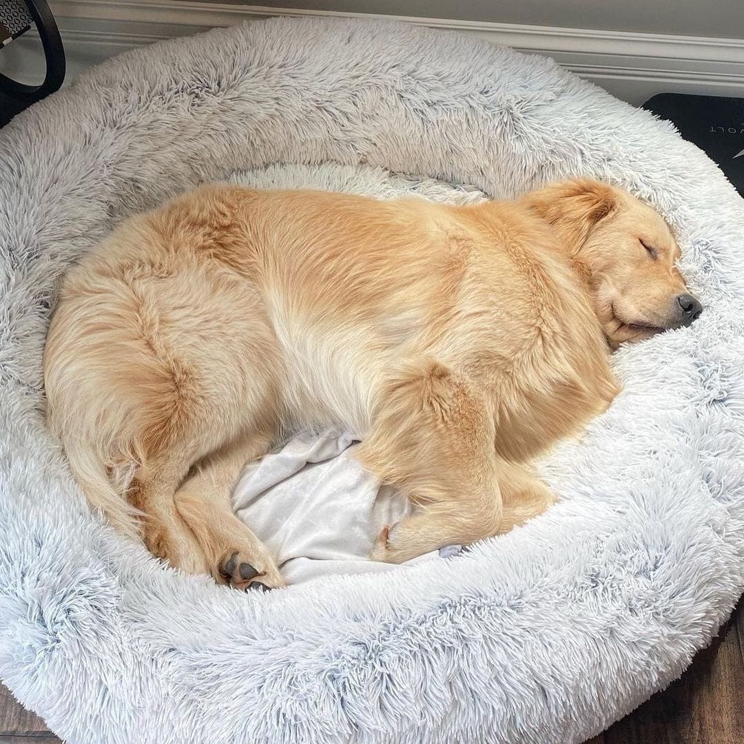Hondenmand Rond met Verhoogde Rand – Kalmerende Slaapplek voor Hond en Kat | Sulvida