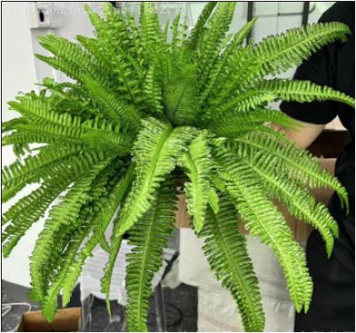 Kunstplant Boston Varen UV-Bestendig Groen Hangend voor Binnen en Terras Onderhoudsvrieje Nepplant Zonder Pot | Sulvida