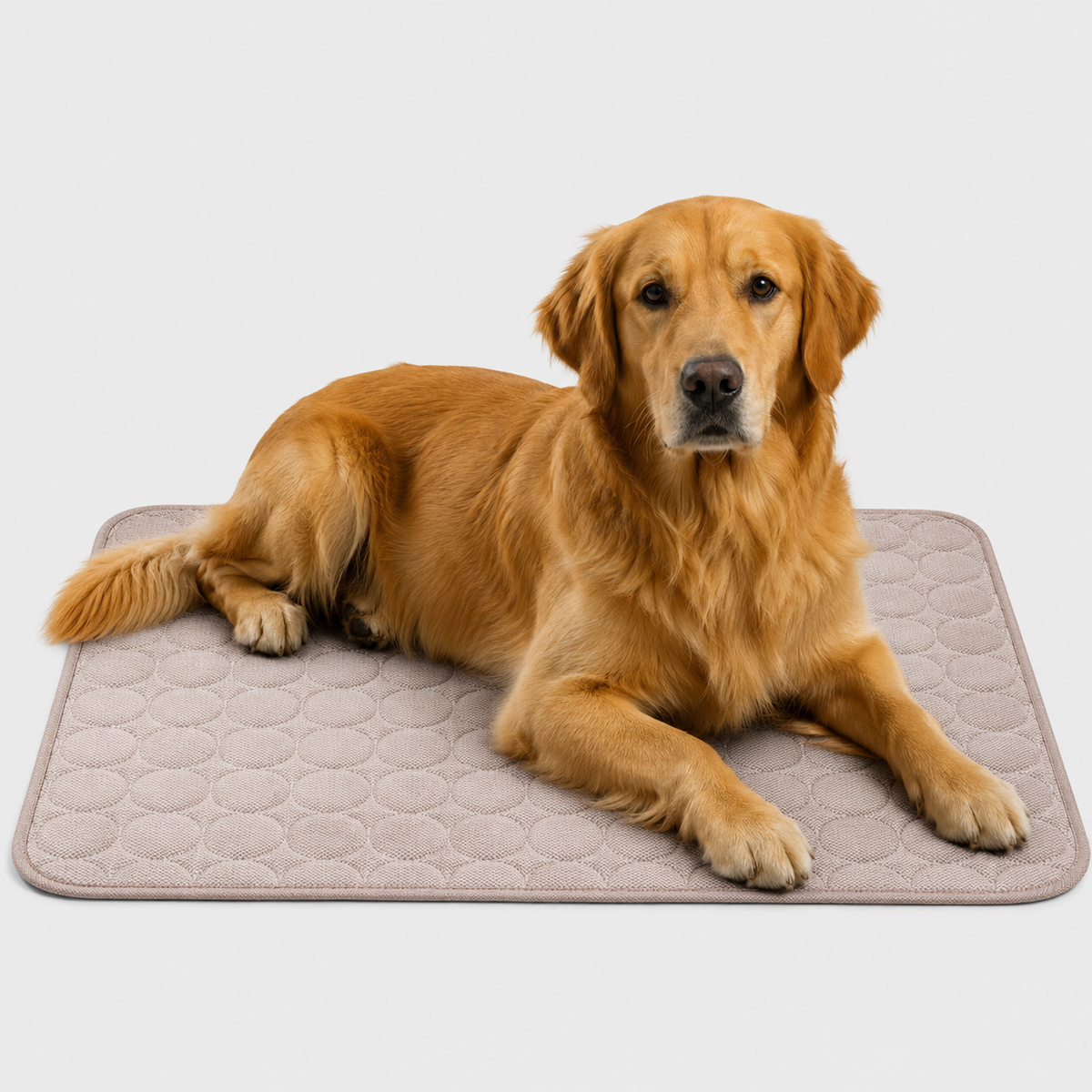 Koelmat voor Huisdieren Wasbaar Verkoelend Hondenmat Kattenmat Zomer Koeling Hond Kat XS S M L XL XXL | Sulvida