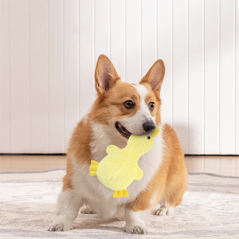 Speels Pluche Speelgoed Eend met Pieper voor Honden Knuffeldier Knuffelvriend Huisdierspeelgoed 37 × 25 cm | Sulvida
