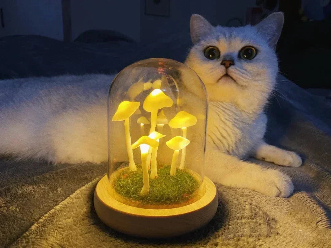 DIY Paddenstoellamp Glas Hout Batterij Tafellamp Warm Wit LED Nachtlampje Creatief Decoratief Woonkamer | Sulvida