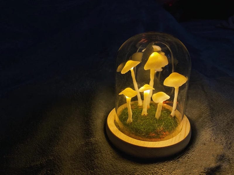 DIY Paddenstoellamp Glas Hout Batterij Tafellamp Warm Wit LED Nachtlampje Creatief Decoratief Woonkamer | Sulvida