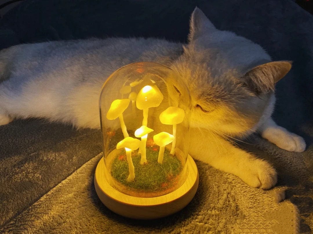 DIY Paddenstoellamp Glas Hout Batterij Tafellamp Warm Wit LED Nachtlampje Creatief Decoratief Woonkamer | Sulvida