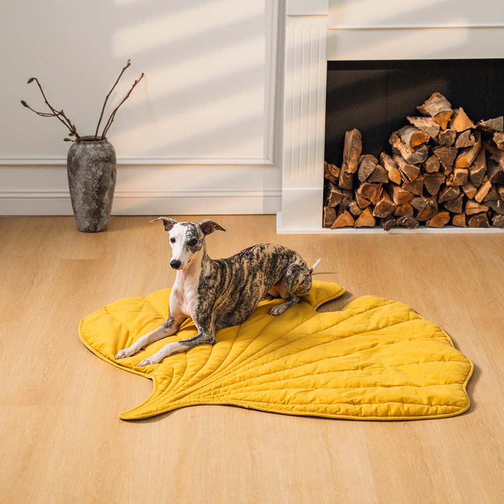 Hondendeken Bladvorm Katoenmix Zachte Kleed Grote Honden Bank Bescherming Decoratief Huisdierkleed Woonkamer | Sulvida